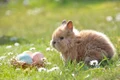 easter 2197043 1280 jpg