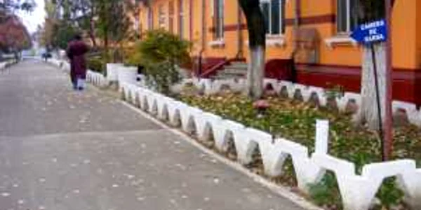 Spitalele de neuropsihiatrie au devenit neîncăpătoare