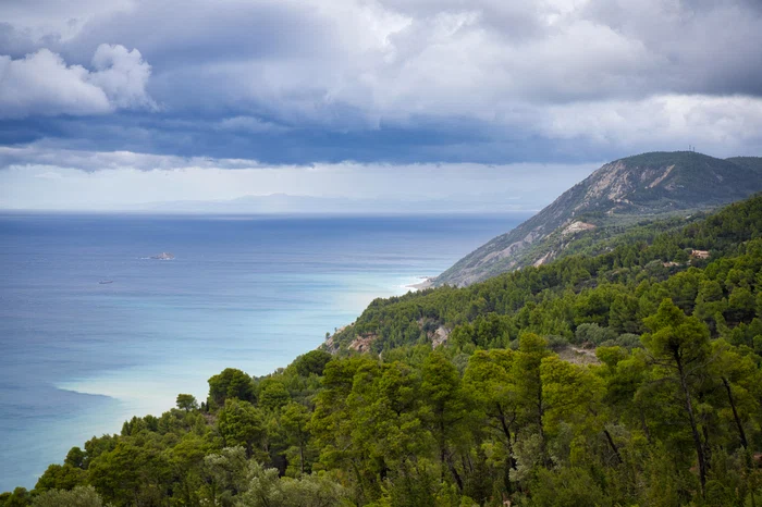 Animalul mai supraviețuiește în Grecia Foto: Pixabay