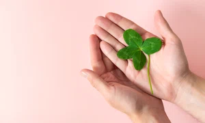 Noroc_shutterstock 2130720182 jpg