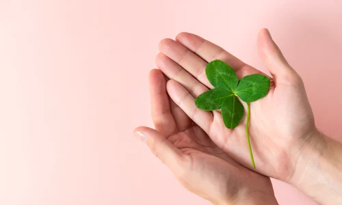 Noroc_shutterstock 2130720182 jpg