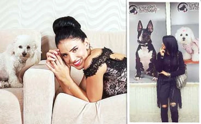 Pestriţu e mândră de reclama căţeilor ei, la un cabinet veterinar