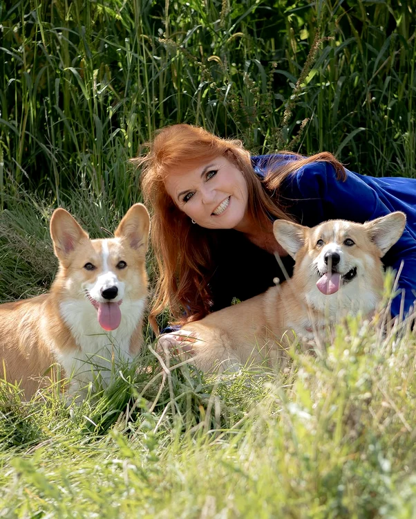 Sarah Ferguson Corgi, Instagram (3) jpg