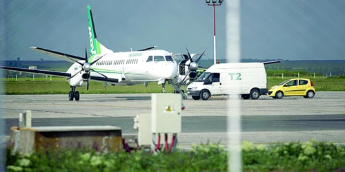 Pista Aeroportului din Iaşi este „populată“ şi de animale sălbatice  