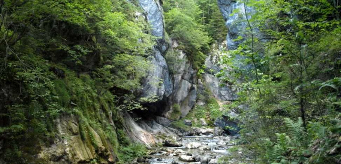 hunedoara retezat