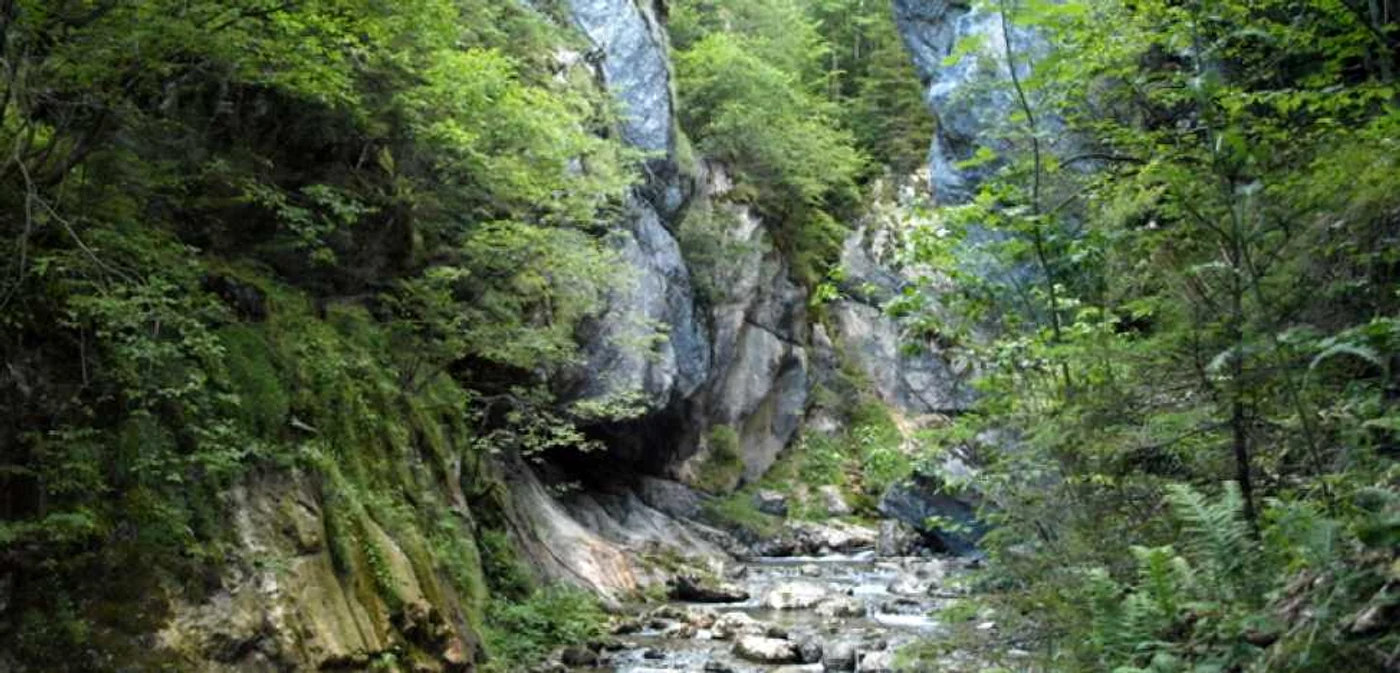 hunedoara retezat