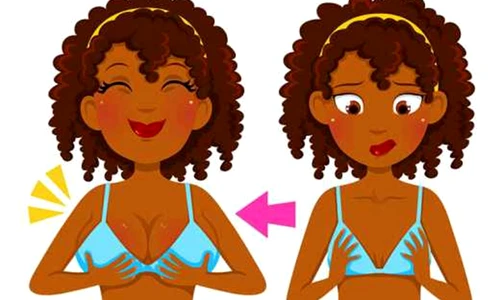 1 84861 original jpg jpeg