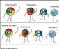 Internet Explorer