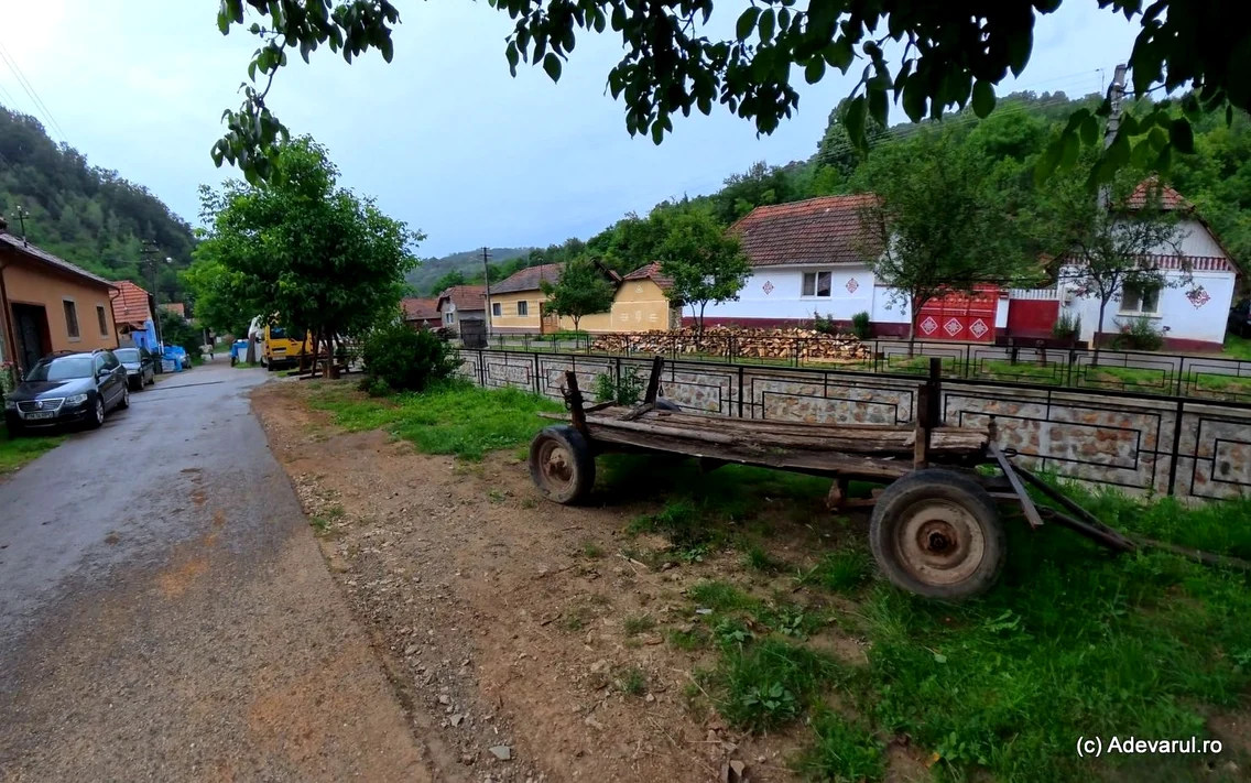 Fărășești   Foto Daniel Guță ADEVĂRUL (11) jpg