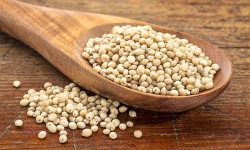 1 62918 original jpg jpeg