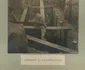 historia ro undefined jpeg