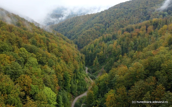 Valea Pustiosu, Grădiștea de Munte. Foto: Daniel Guță