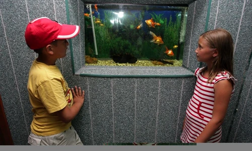 1 48744 original jpg jpeg