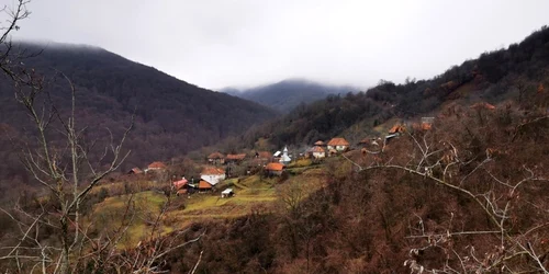 aranies foto daniel guta adevarul