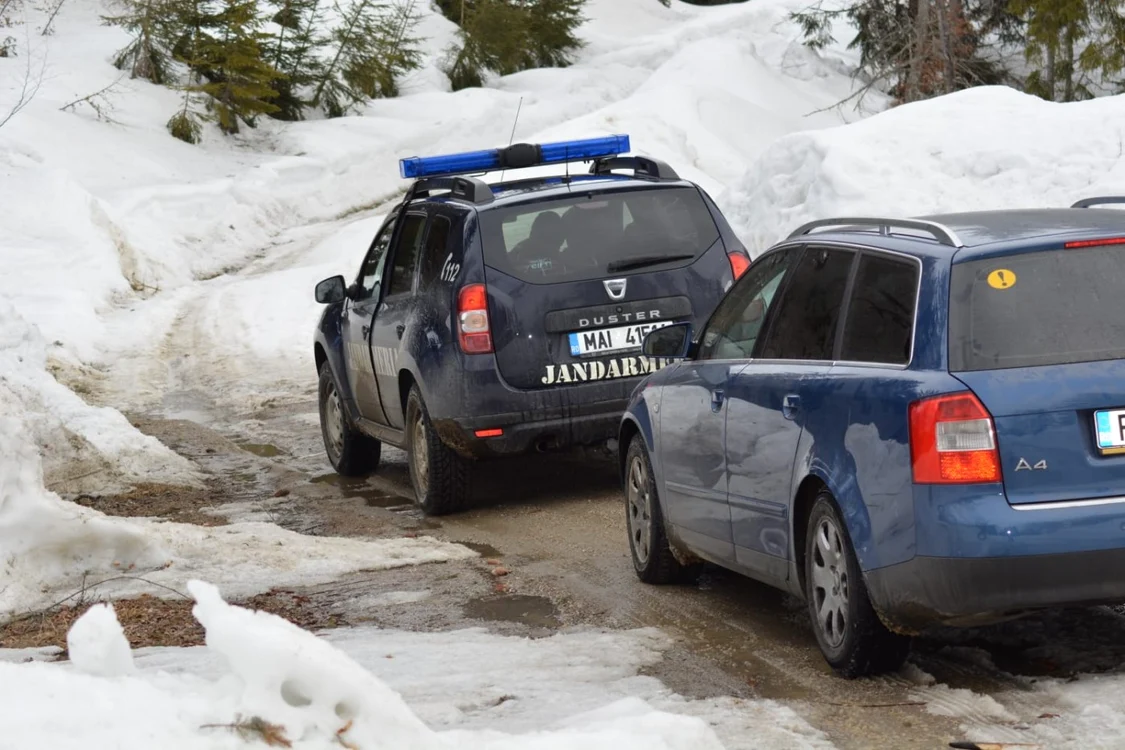 Turişti prahoveni, ajutaţi de jandarmii montani dâmboviţeni