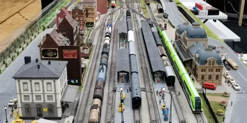 expozitie trenuri 11 jpg