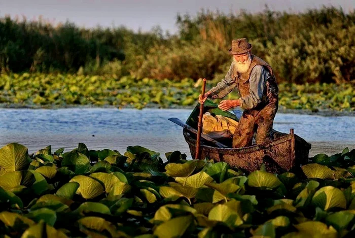 Delta Dunării este un paradis şi aşa trebuie să rămână FOTO Arhivă