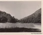 Căi ferate forestiere din Valea Jiului Anul 1956 Foto Richard Marschalko (3) jpg
