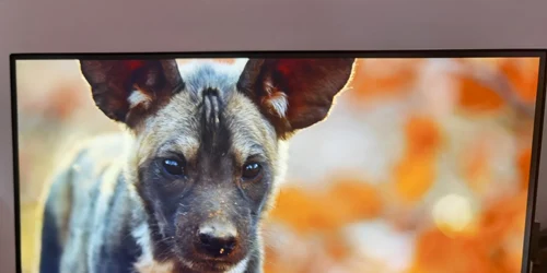 Monitor BenQ EW2780U