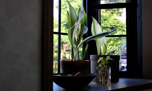 1 76509 original jpg jpeg