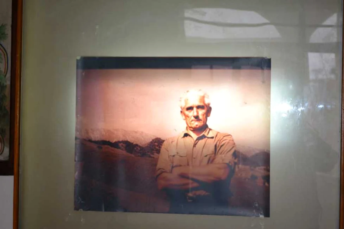 Nicolae Frunteş