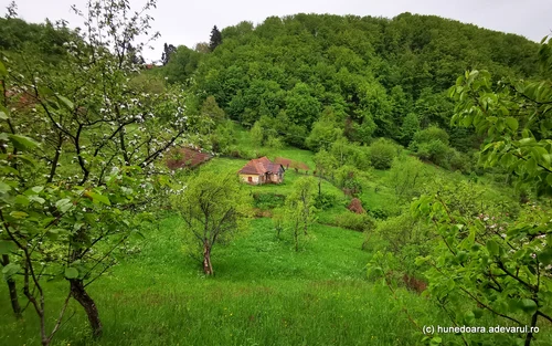 Satul Sacaramb din Hunedoara  Foto Daniel Guță (107) jpg
