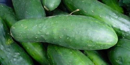 Castraveţii ucigaşi nu au ajuns, deocamdată, în Sălaj