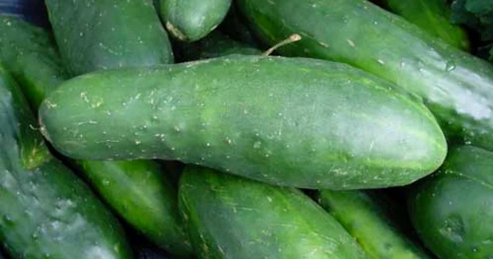 Castraveţii ucigaşi nu au ajuns, deocamdată, în Sălaj