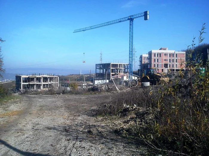 Făget padure cluj