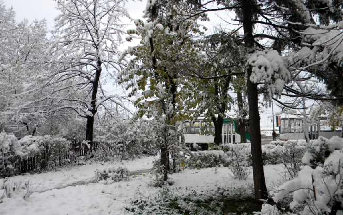 A nins în noaptea de marţi spre miercuri la Ploieşti. FOTO Dana Mihai