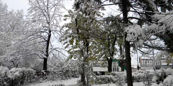 ninsoare ploiesti foto dana mihai