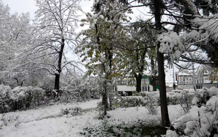 Cod portocaliu de viscol emis pentru sudul ţării, valabil de miercuri dimineaţă FOTO Adevărul