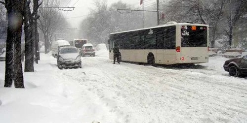 Ninge la Arad