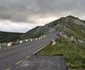Transalpina, iunie 2025 Foto Daniel Guță ADEVĂRUL (32) jpg