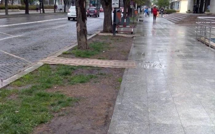 Covoarele au fost luate din birourile CJ FOTO: Ştefan Borcea