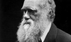 Darwin şi boabele de fasole jpeg