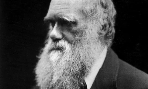 Darwin şi boabele de fasole jpeg