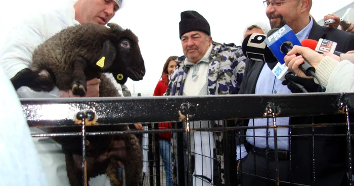 Primarul Cristian Popescu Piedone a inaugurat piaţa de miei vii din Piaţa Apărătorii Patriei. FOTO Primăria Sectorului 4