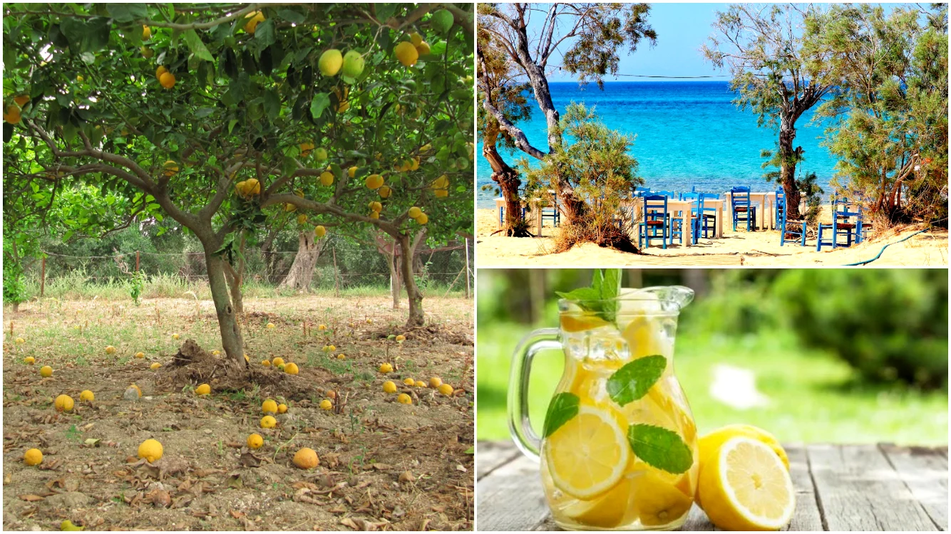 Ce au pățit românii când au cerut limonadă în Grecia?