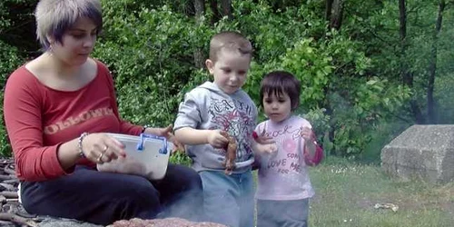 picnic