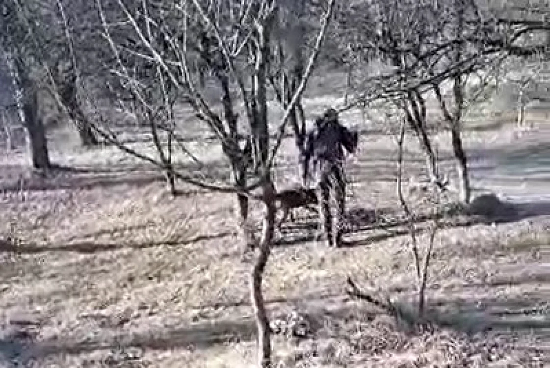 Captură video IPJ Argeş