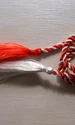 byrev martisor 88258 1280 jpg