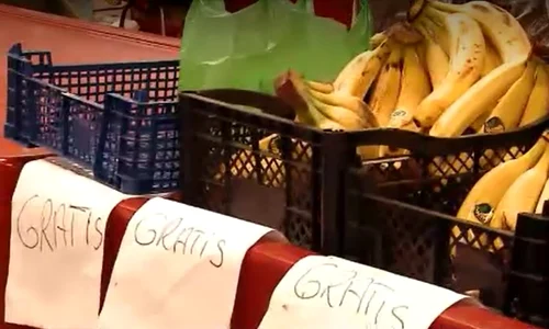 fructe gratis jpeg