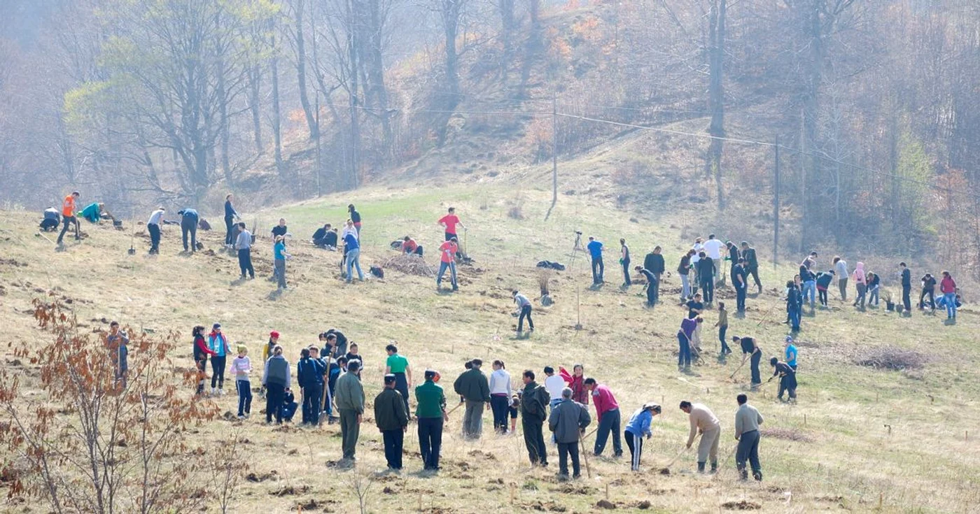Puieţii sunt plantaţi astăzi la Tâureni, în cadrul campaniei ”Plantăm fapte bune”