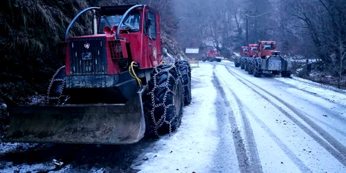 Tafuri pe un drum din Tinutul Padurenilor Foto Daniel Guță ADEVĂRUL jpg