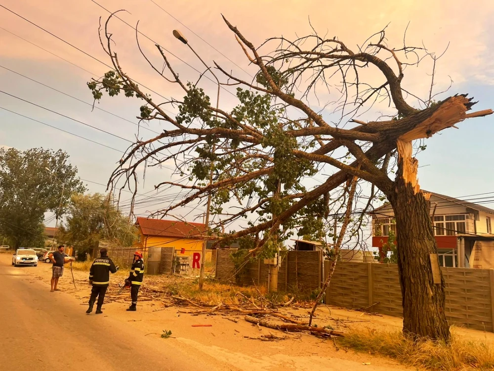 Un copac a fost rupt de vijelie şi doborât pe carosabil, în Slatina FOTO: ISU Olt