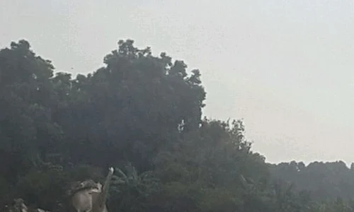 Imagine de la locul tragediei jpeg