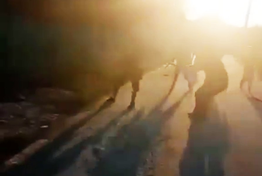Încăierare violentă într-o comună din Buzău, în plină stradă, soldată cu patru răniți VIDEO
