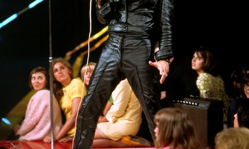 elvis79 jpeg