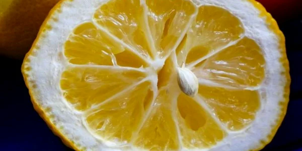 lamaie